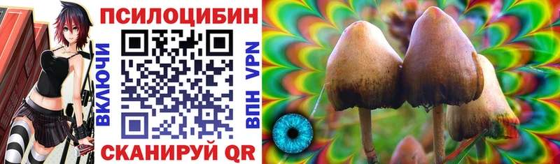 Псилоцибиновые грибы Psilocybe  где продают   Уяр 